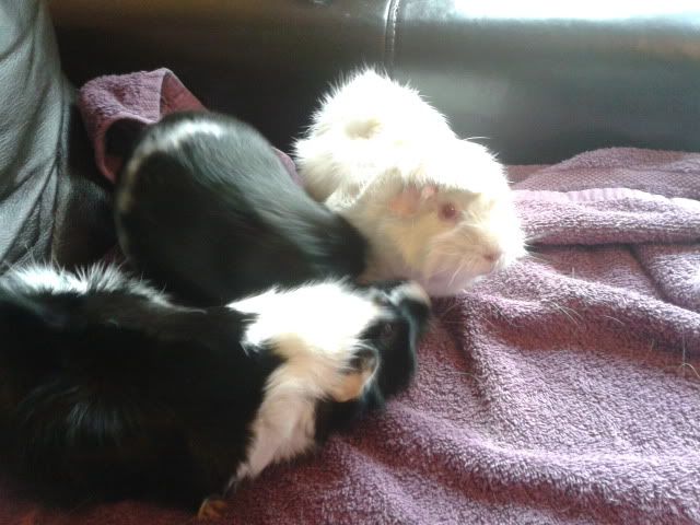 2011-12-15115527.jpg