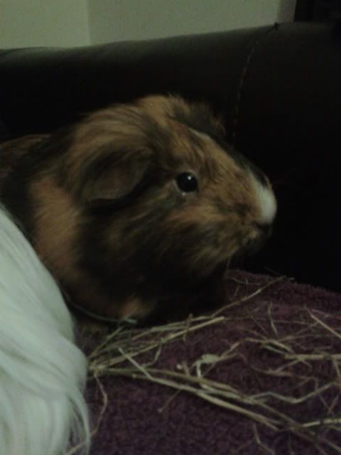 2012-01-02181447.jpg