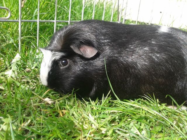 2012-03-25141148-1.jpg