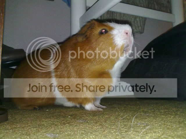 210120101955.jpg