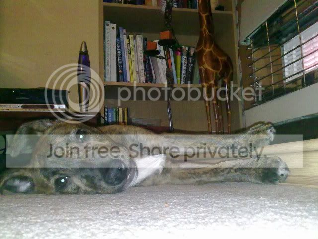 210120101966.jpg