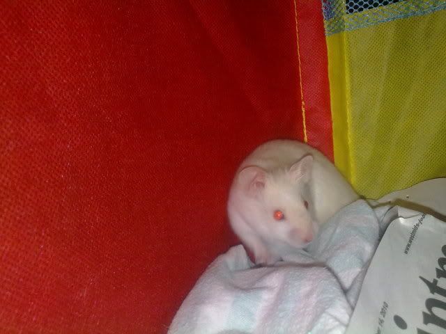 221020103800.jpg