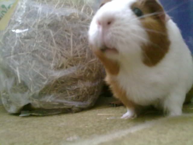 230920103654.jpg