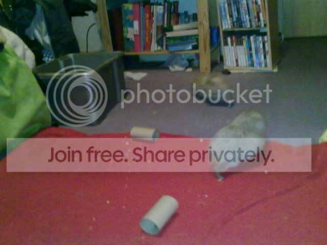 231220091650.jpg