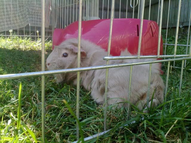 240520102719.jpg