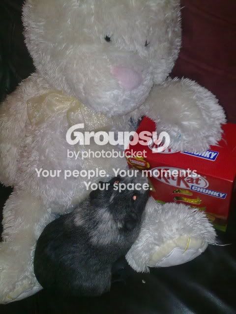 250320102398.jpg