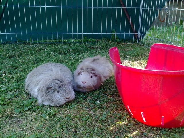 270620102950.jpg