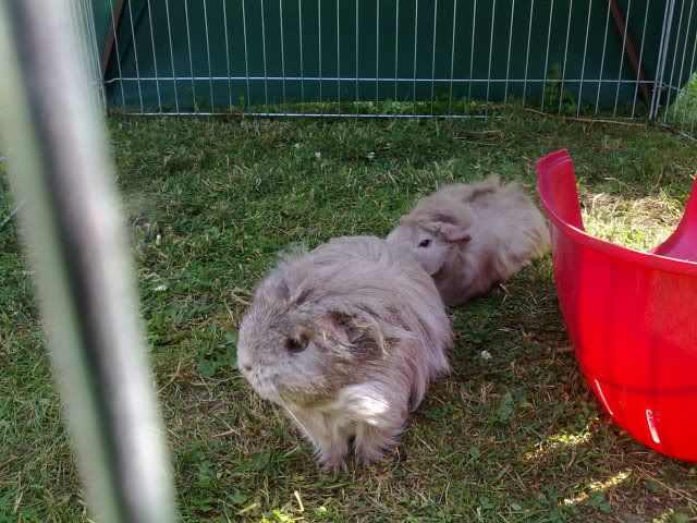 270620102952.jpg