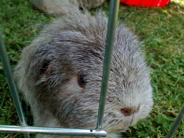 270620102957.jpg