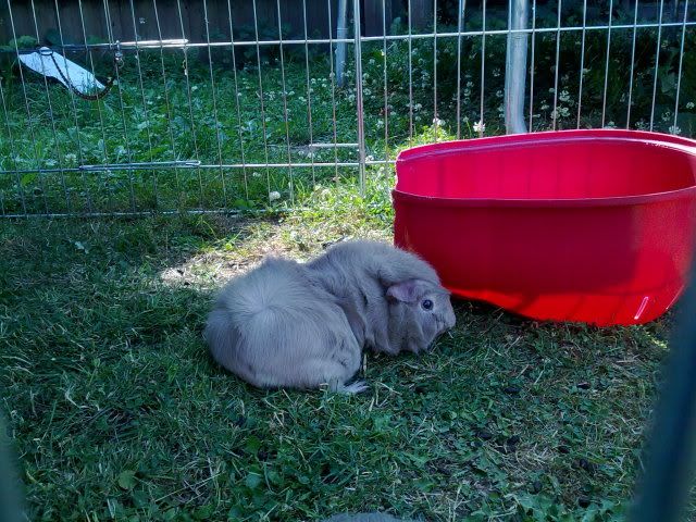 270620102958.jpg