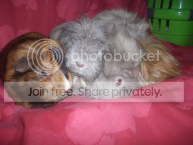 DSCF2637.jpg