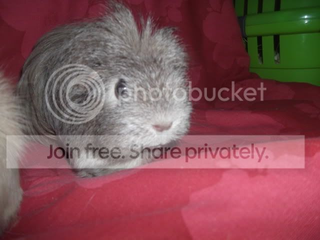 DSCF2641.jpg