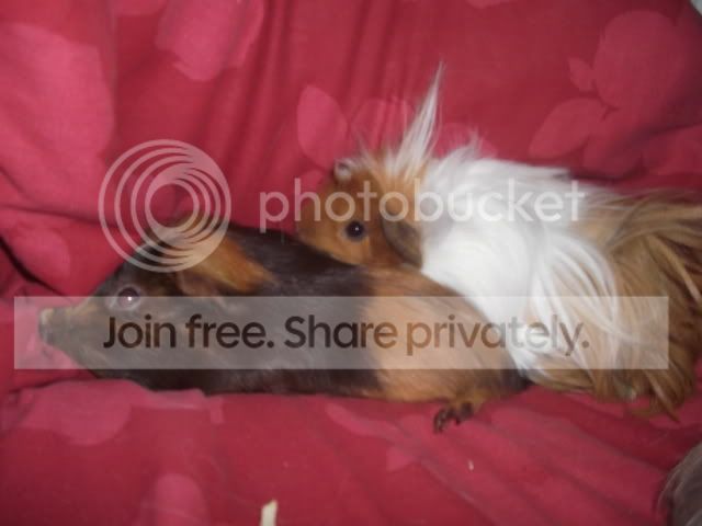 DSCF2660.jpg