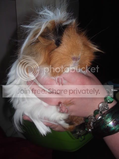 DSCF2673.jpg