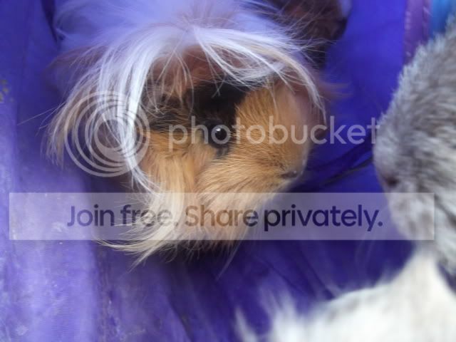 DSCF3079.jpg
