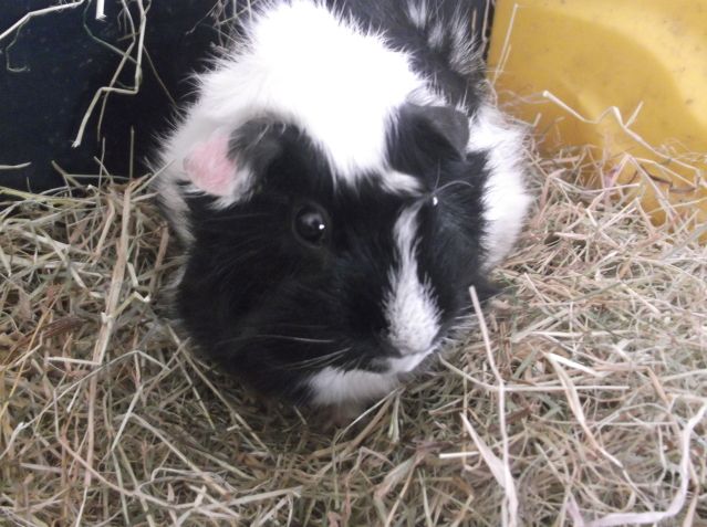DSCF6678.jpg