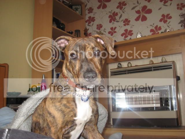 Floyd005.jpg