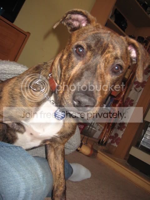 Floyd006.jpg