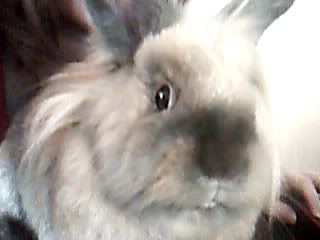 Picture1052.jpg
