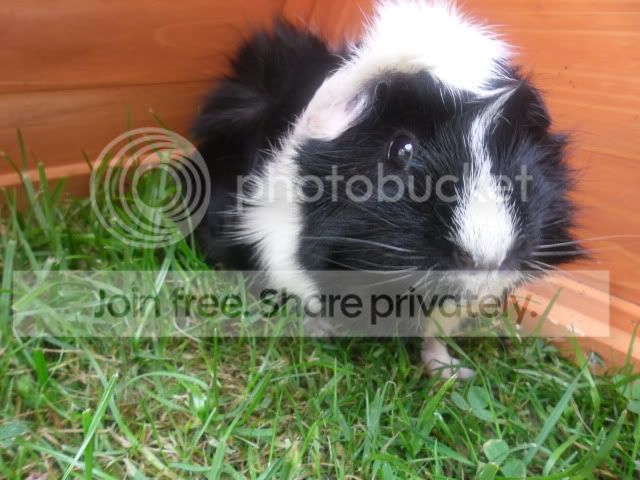 SAM_0335.jpg
