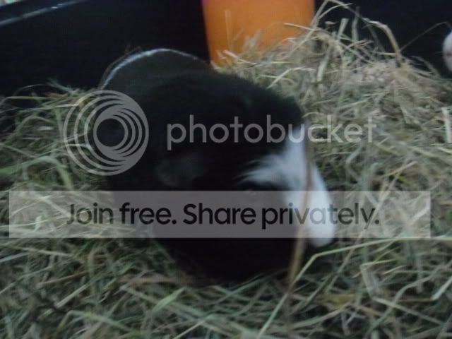 SAM_0341.jpg
