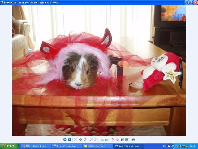halloweenpig2.jpg