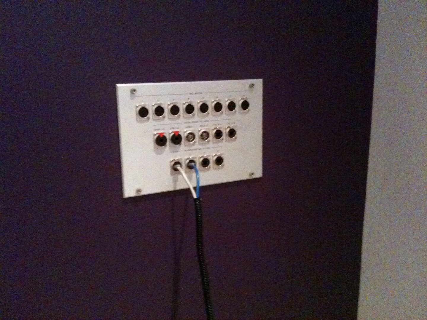 c481e525.jpg