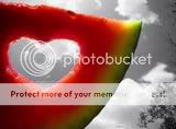 Color Splash Pictures, Images and Photos