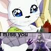 Miss.jpg